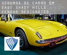Seguros de carro em  East Shady Hills