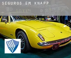 Seguros em  Knapp