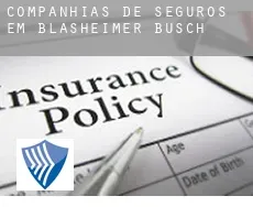 Companhias de seguros em  Blasheimer Busch