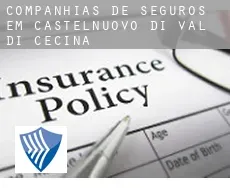 Companhias de seguros em Castelnuovo di Val di Cecina