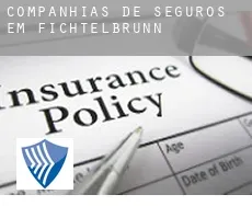 Companhias de seguros em  Fichtelbrunn