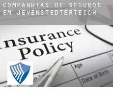 Companhias de seguros em  Jevenstedterteich