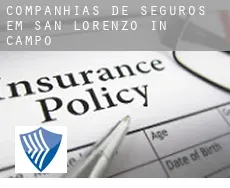Companhias de seguros em  San Lorenzo in Campo