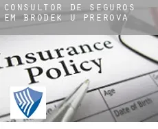 Consultor de seguros em  Brodek u Přerova