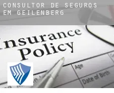 Consultor de seguros em  Geilenberg