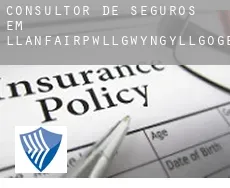 Consultor de seguros em  Llanfairpwllgwyngyllgogerychwyrndrobwllllantysiliogogogoch