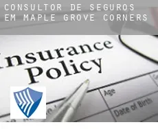 Consultor de seguros em  Maple Grove Corners