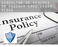 Consultor de seguros em  Phoenix Lake-Cedar Ridge