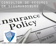 Consultor de seguros em  Siegmundsburg