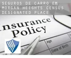 Seguros de carro em  Morgan Heights