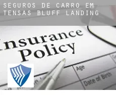 Seguros de carro em  Tensas Bluff Landing