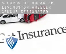 Seguros de hogar em  Livingston Wheeler