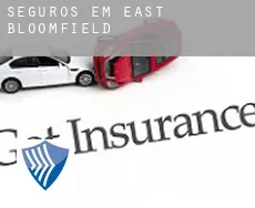 Seguros em  East Bloomfield