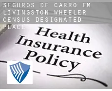 Seguros de carro em  Livingston Wheeler