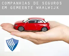 Companhias de seguros em  Gemeente Waalwijk