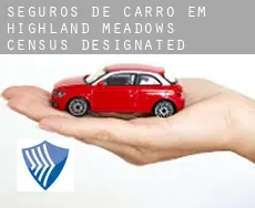 Seguros de carro em  Highland Meadows