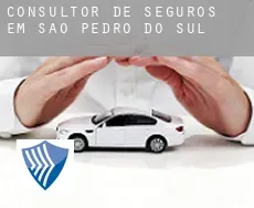 Consultor de seguros em  São Pedro do Sul
