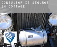 Consultor de seguros em  Cottage