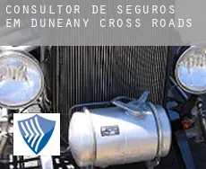 Consultor de seguros em  Duneany Cross Roads