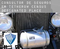 Consultor de seguros em  Tetherow