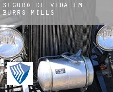 Seguro de vida em  Burrs Mills