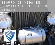 Seguro de vida em  Ecovillage of Sieben Linden