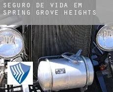 Seguro de vida em Spring Grove Heights