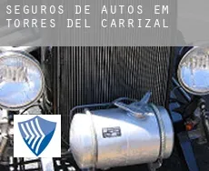 Seguros de autos em  Torres del Carrizal