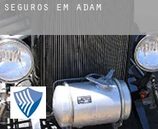 Seguros em  Adam