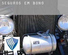 Seguros em  Bono