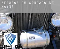 Seguros em Condado de Wayne