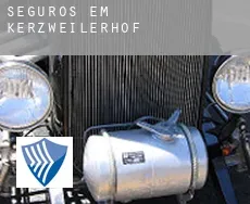 Seguros em  Kerzweilerhof