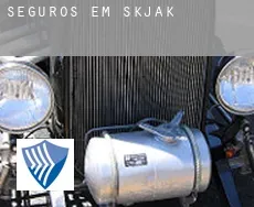 Seguros em  Skjåk