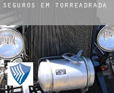 Seguros em Torreadrada