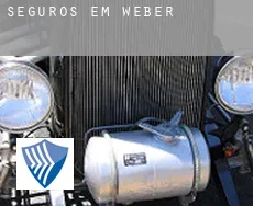 Seguros em  Weber
