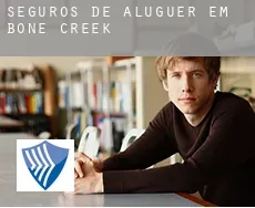 Seguros de aluguer em  Bone Creek