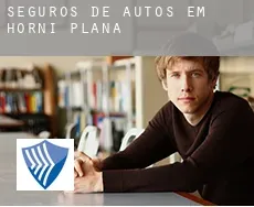 Seguros de autos em  Horní Planá