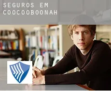 Seguros em  Coocooboonah
