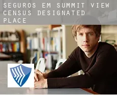 Seguros em Summit View