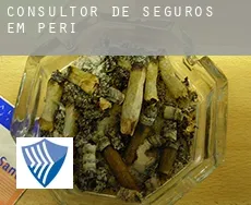 Consultor de seguros em  Peri