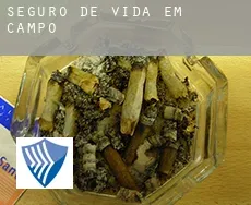 Seguro de vida em  Campo