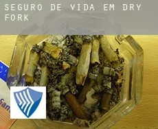 Seguro de vida em  Dry Fork