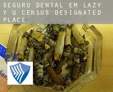 Seguro dental em  Lazy Y U