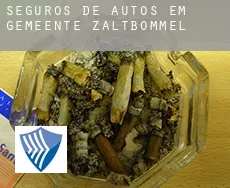 Seguros de autos em Gemeente Zaltbommel