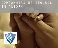 Companhias de seguros em  Alborn