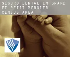 Seguro dental em  Grand-et-Petit-Bernier (census area)