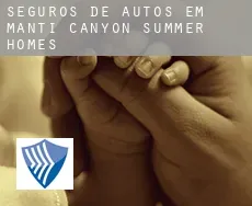 Seguros de autos em  Manti Canyon Summer Homes