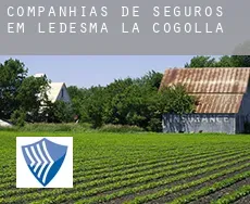 Companhias de seguros em  Ledesma de la Cogolla