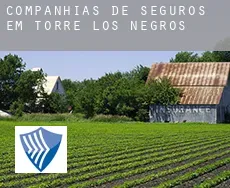 Companhias de seguros em  Torre los Negros