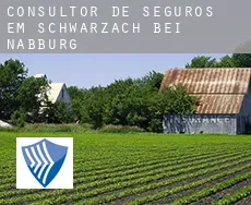 Consultor de seguros em  Schwarzach bei Nabburg